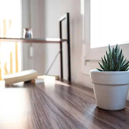 Spacious & Luxe 3br Downtown 1min To 公寓