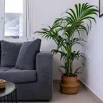 Spacious & Luxe 3br Downtown 1min To * Kos By