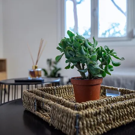 Appartamento Spacious & Luxe 3br Downtown 1min To Città di Kos