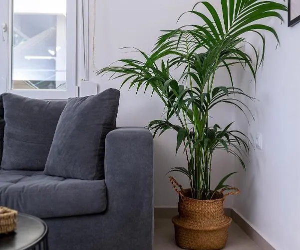 Spacious & Luxe 3br Downtown 1min To * Kos Town